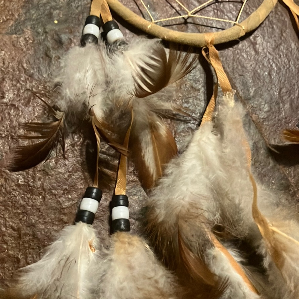 Rustic Feather‎ Dreamcatcher - Picture 2 of 4